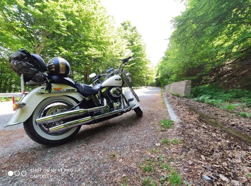 Harley-Davidson 1690 Deluxe ABS (2011 - 16) - FLSTN (3)