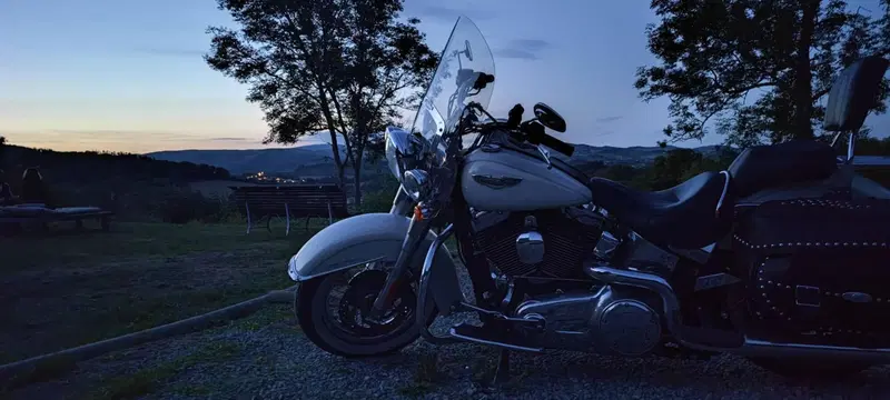 Harley-Davidson 1690 Deluxe ABS (2011 - 16) - FLSTN (5)