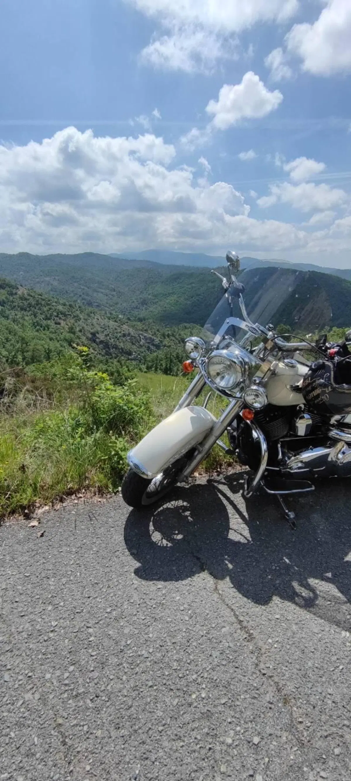 Harley-Davidson 1690 Deluxe ABS (2011 - 16) - FLSTN (7)