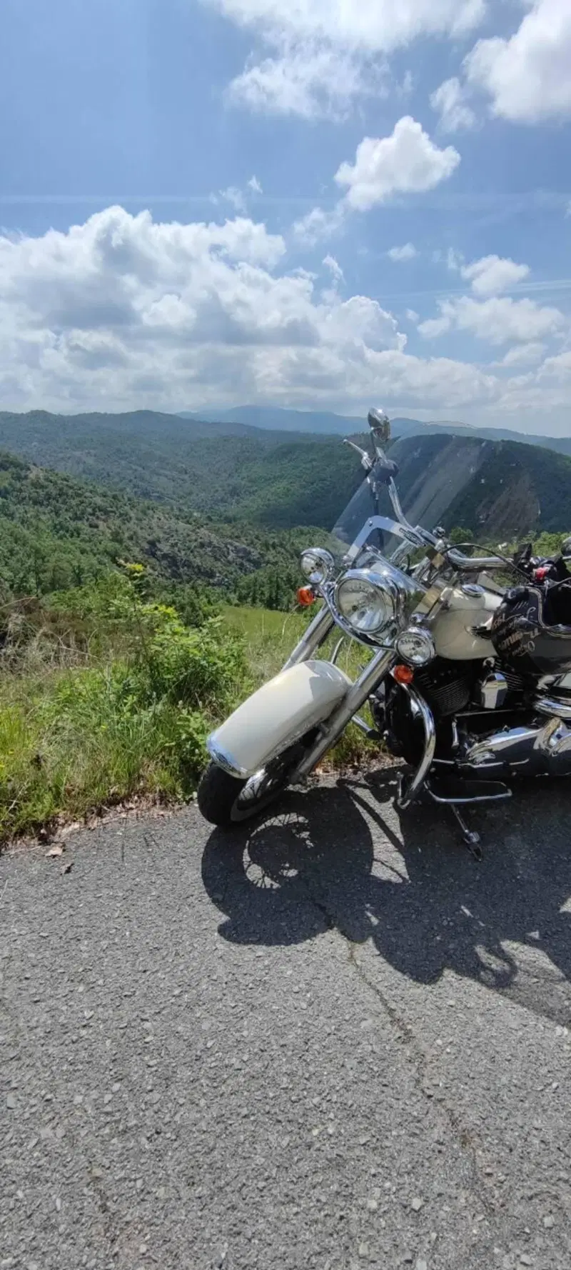 Harley-Davidson 1690 Deluxe ABS (2011 - 16) - FLSTN (7)