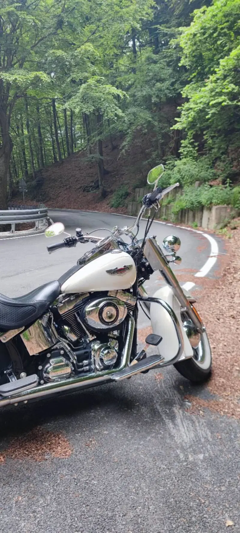 Harley-Davidson 1690 Deluxe ABS (2011 - 16) - FLSTN (8)