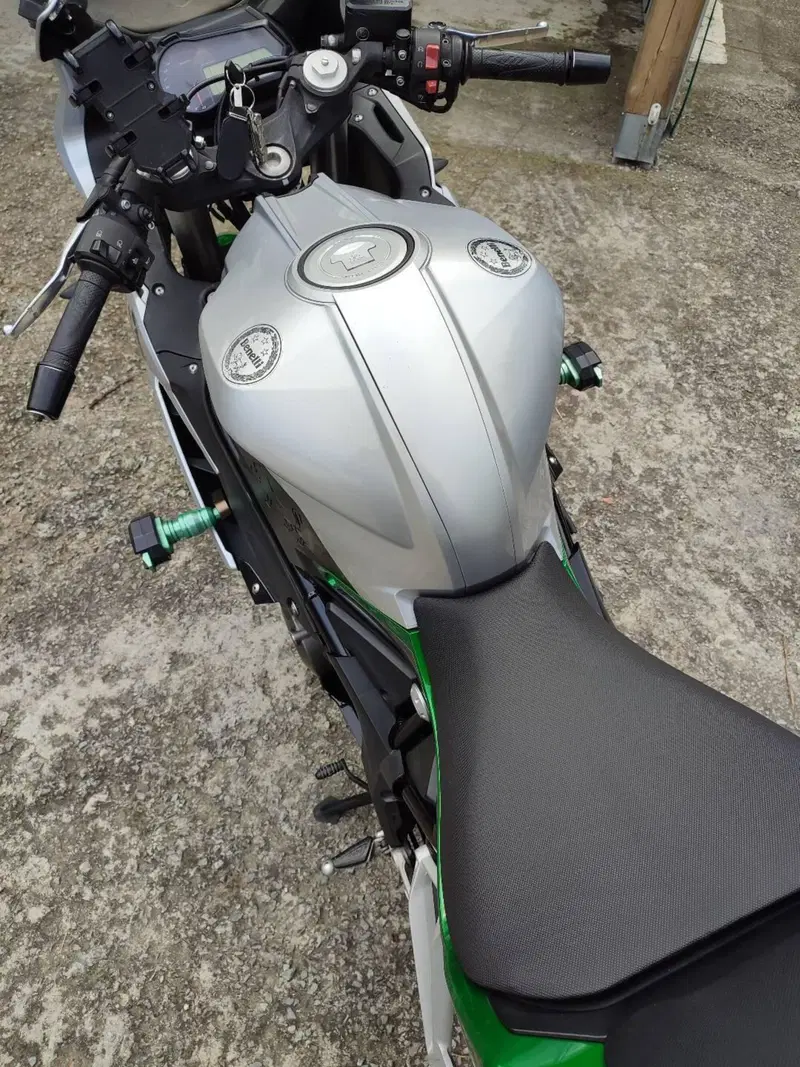 Benelli BN 302 R (2017 - 20) (5)