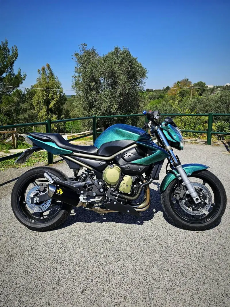 Yamaha XJ6 (2008 - 15) (5)