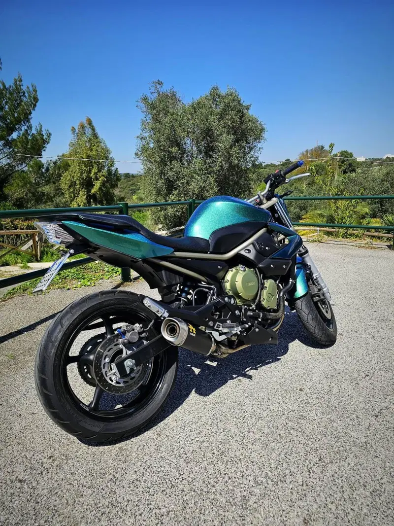 Yamaha XJ6 (2008 - 15) (6)