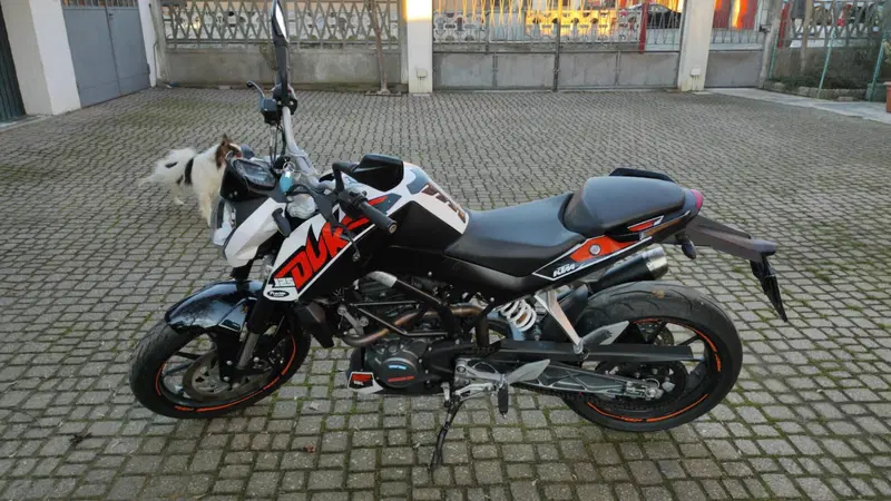 KTM 125 Duke ABS (2013 - 16)