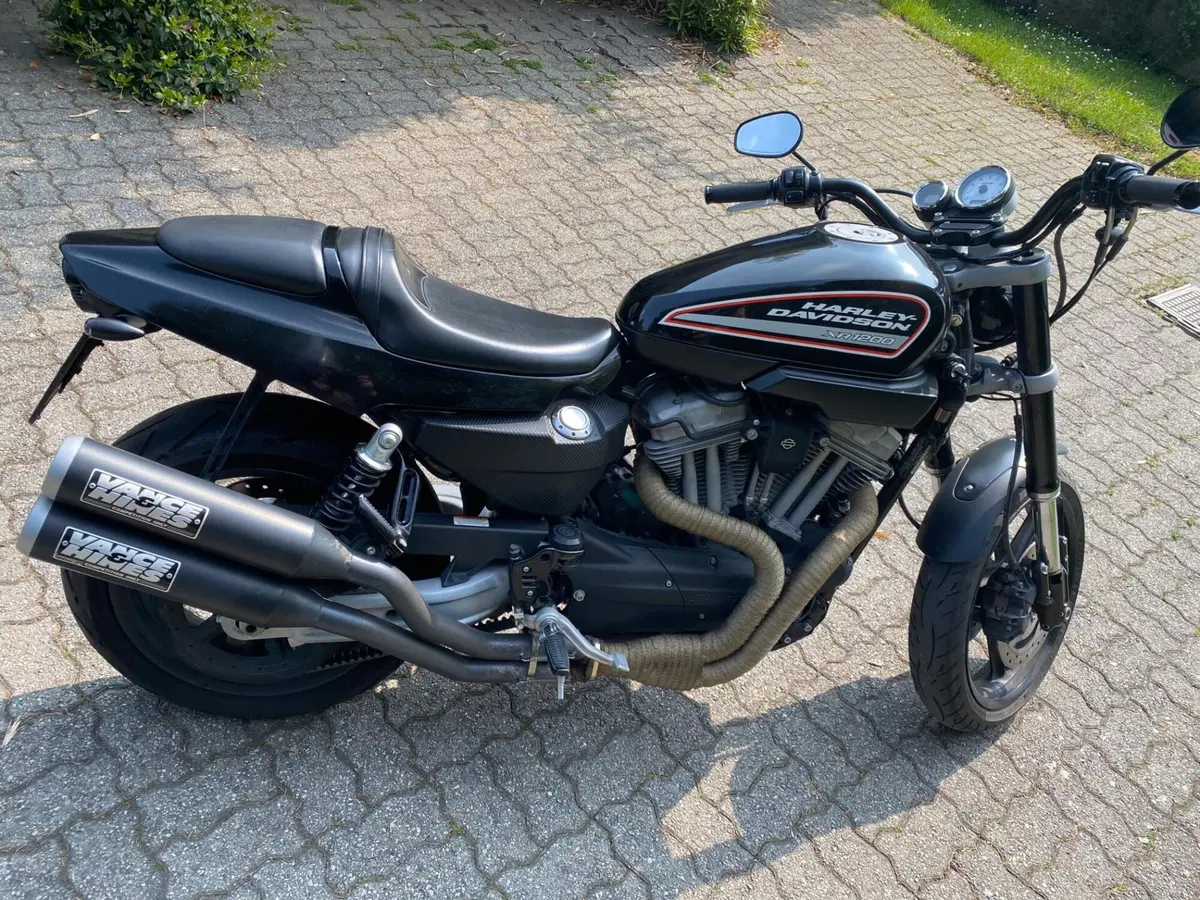 Harley-Davidson 1200 XR (2009 - 12) (3)