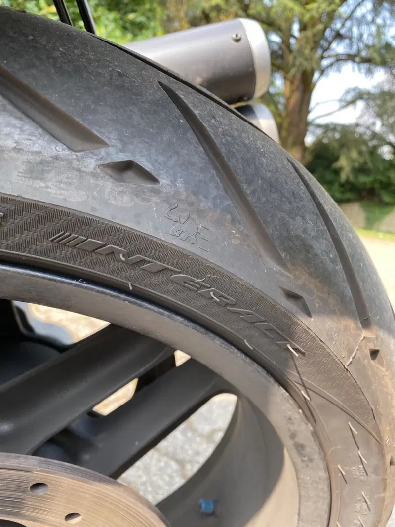 Harley-Davidson 1200 XR (2009 - 12) (6)