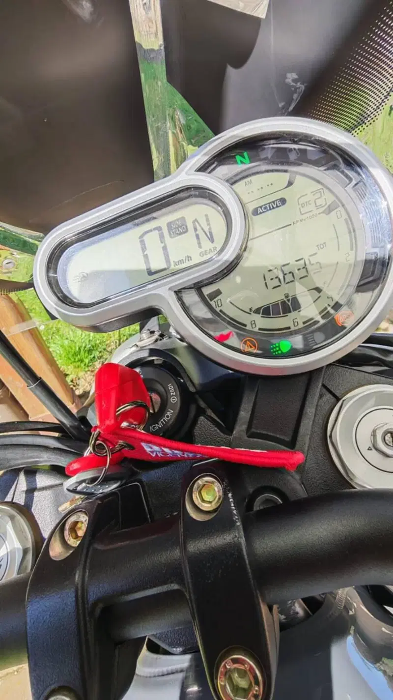 Ducati Scrambler 1100 (2018 - 20) (2)
