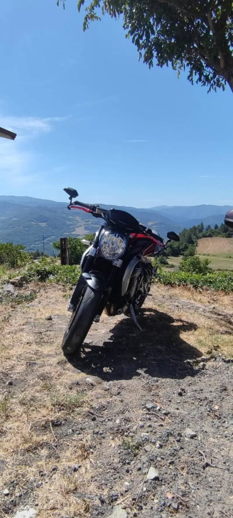 MV Agusta Brutale 800 EAS ABS (2012 - 15) (8)