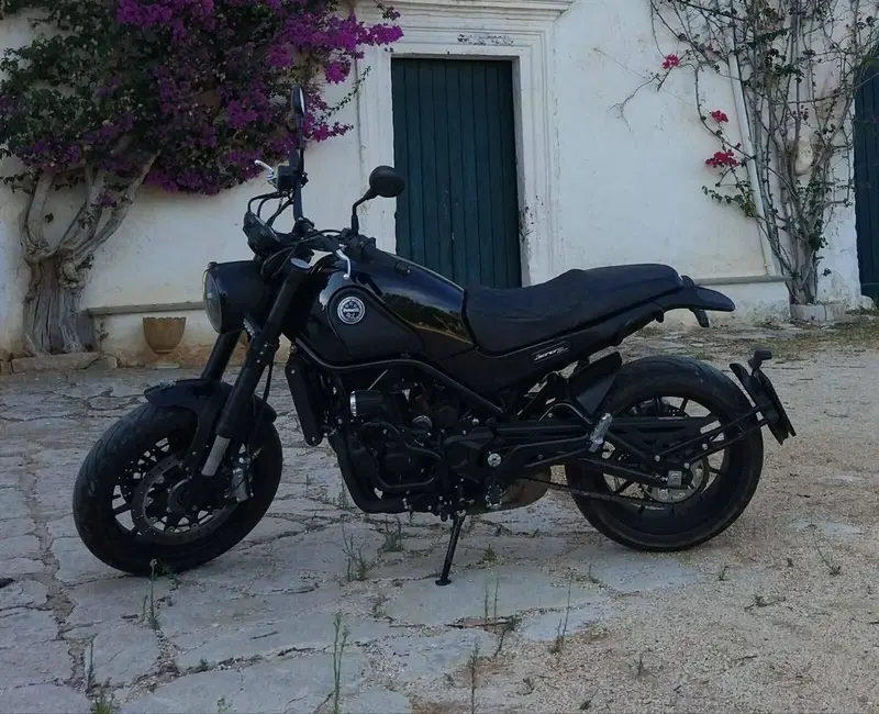 Benelli Leoncino 500 ABS (2017 - 20) (9)