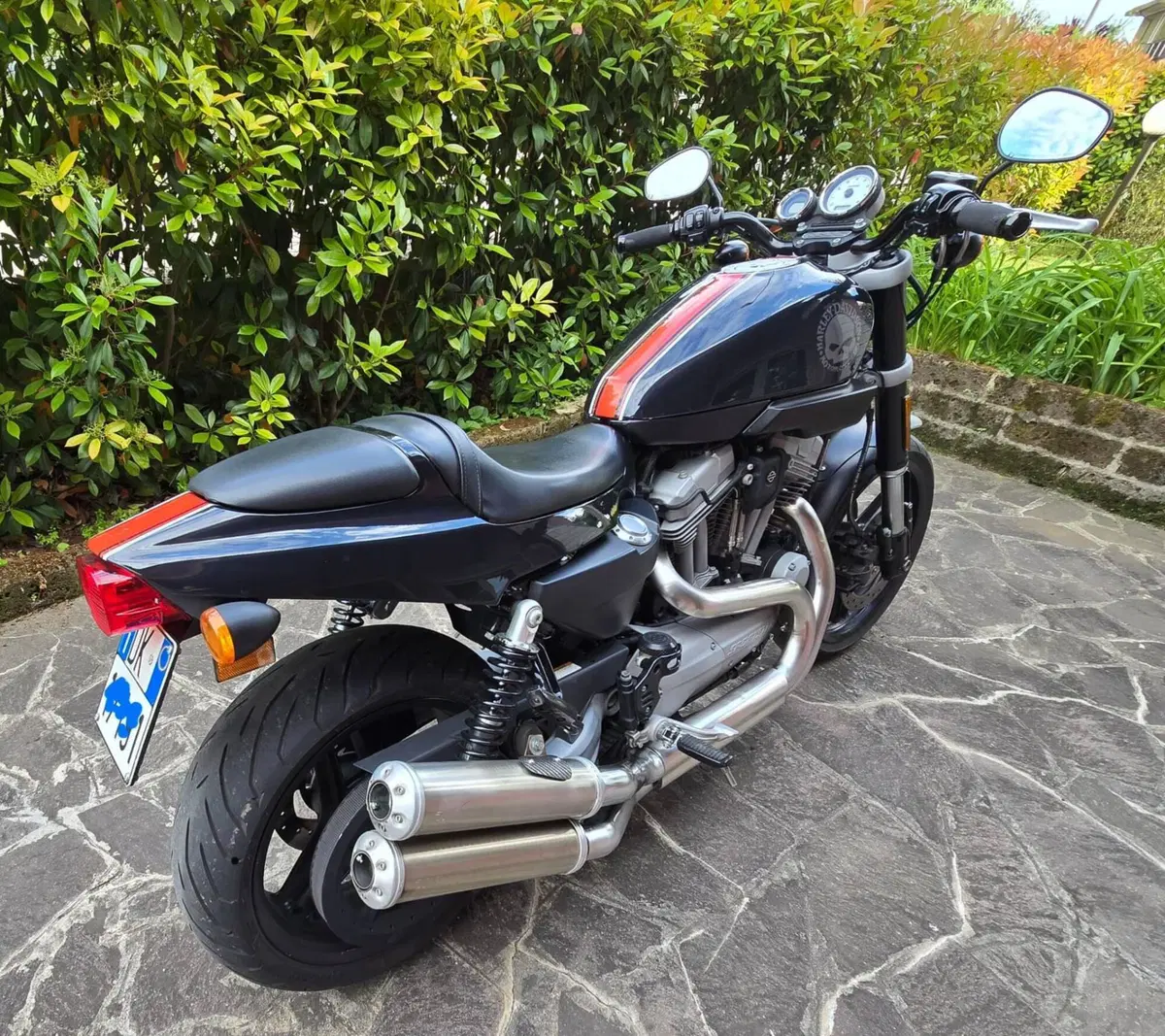 Harley-Davidson 1200 XR (2009 - 12) (3)