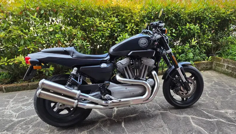 Harley-Davidson 1200 XR (2009 - 12) (4)
