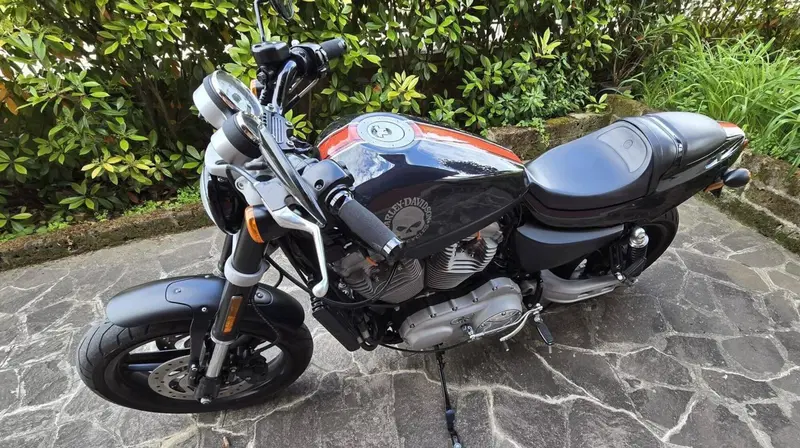 Harley-Davidson 1200 XR (2009 - 12) (5)