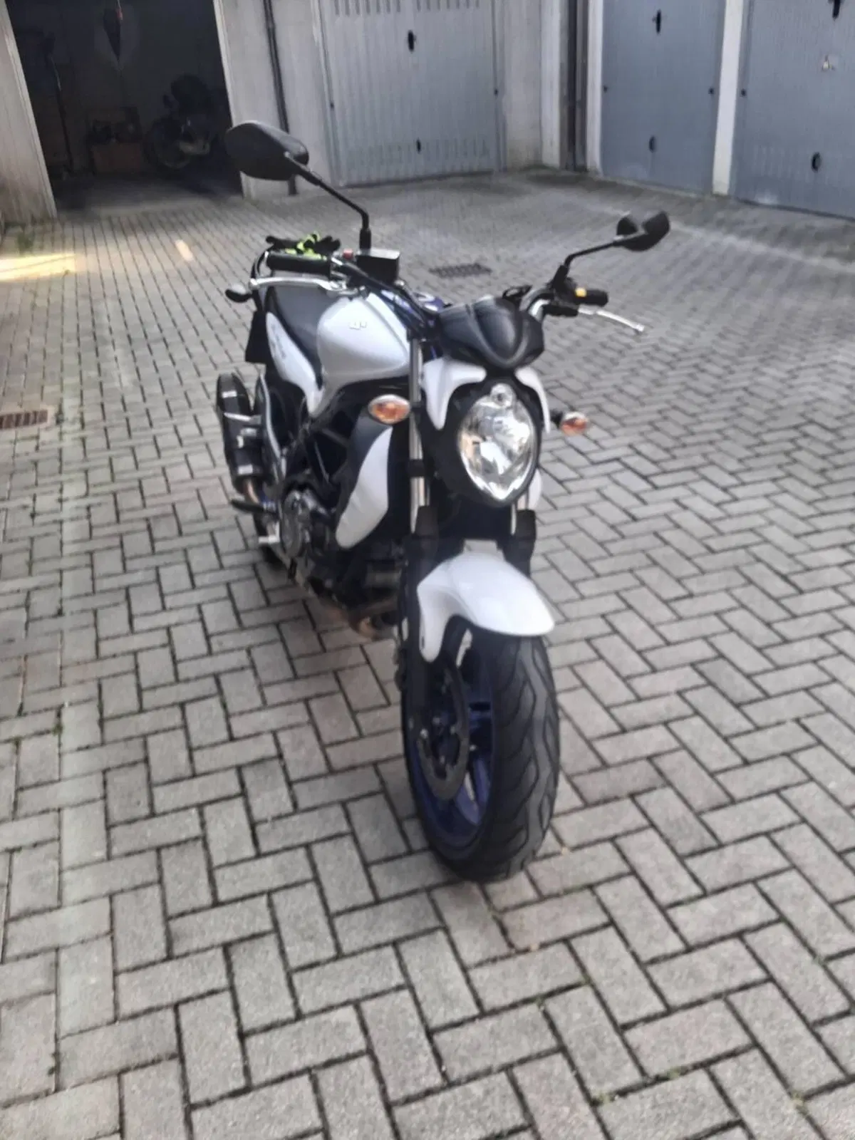 Suzuki Gladius 650 SFV (2009 - 15) (3)