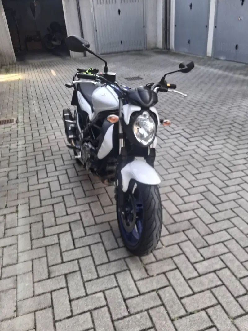 Suzuki Gladius 650 SFV (2009 - 15) (3)