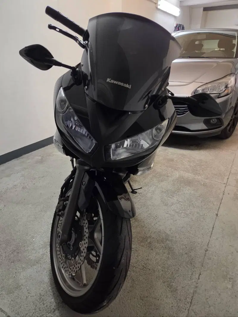 Kawasaki ER-6F (2009 - 11) (5)
