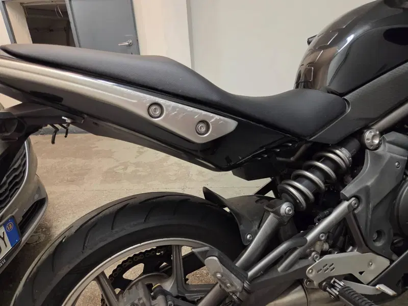 Kawasaki ER-6F (2009 - 11) (8)