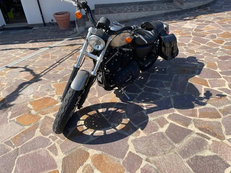Harley-Davidson 883 R (2006 - 07) - XL 883R (2)