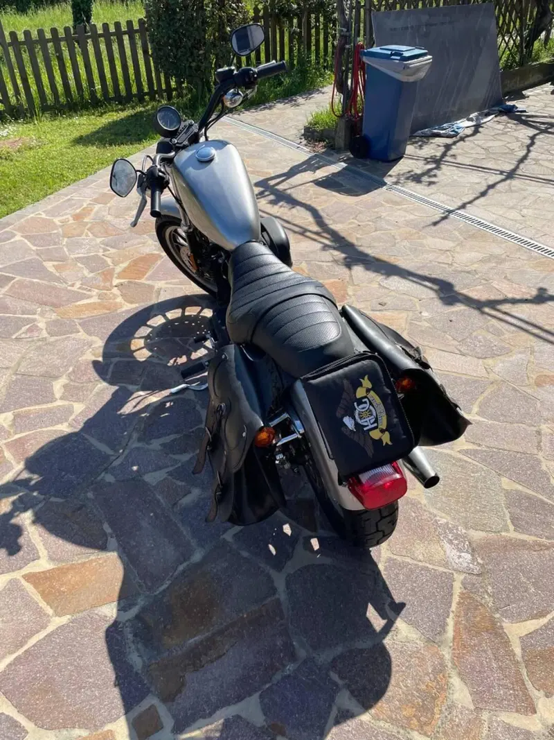 Harley-Davidson 883 R (2006 - 07) - XL 883R (3)