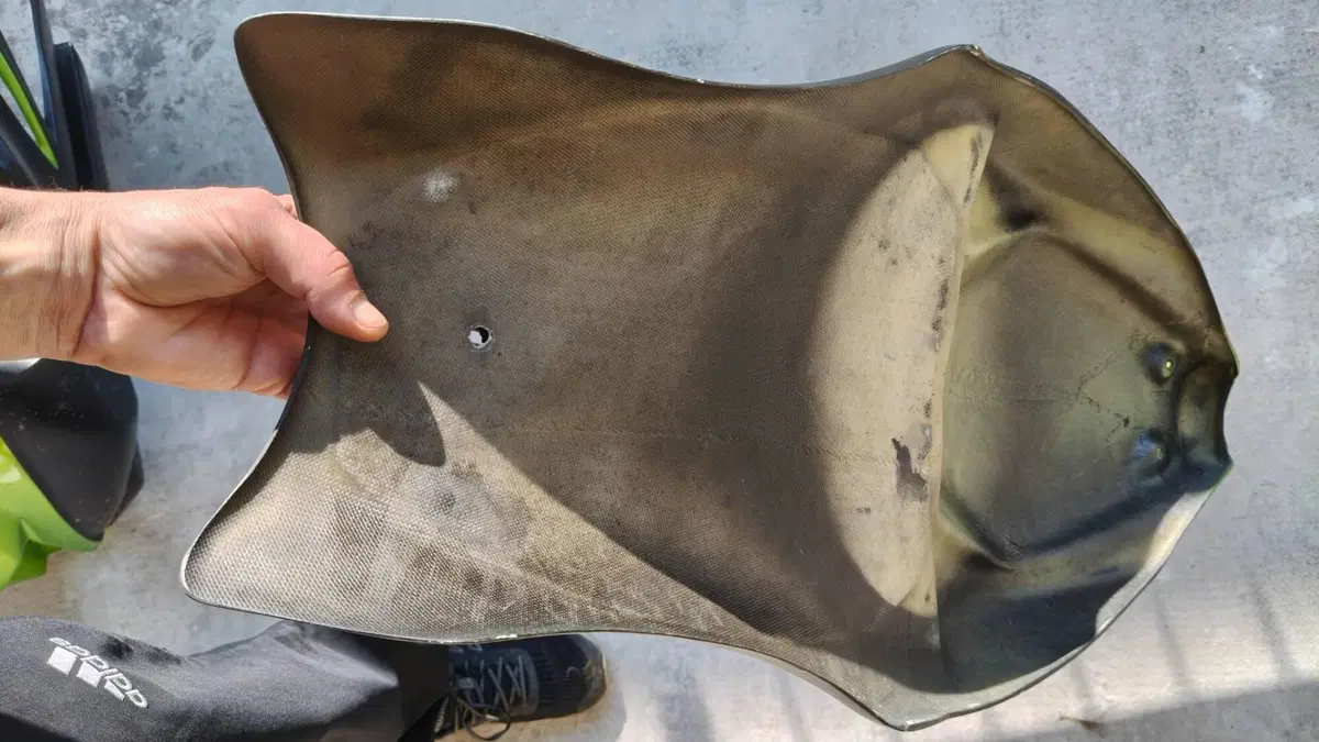 Carene da pista per KAWASAKI ZX10R . (4)