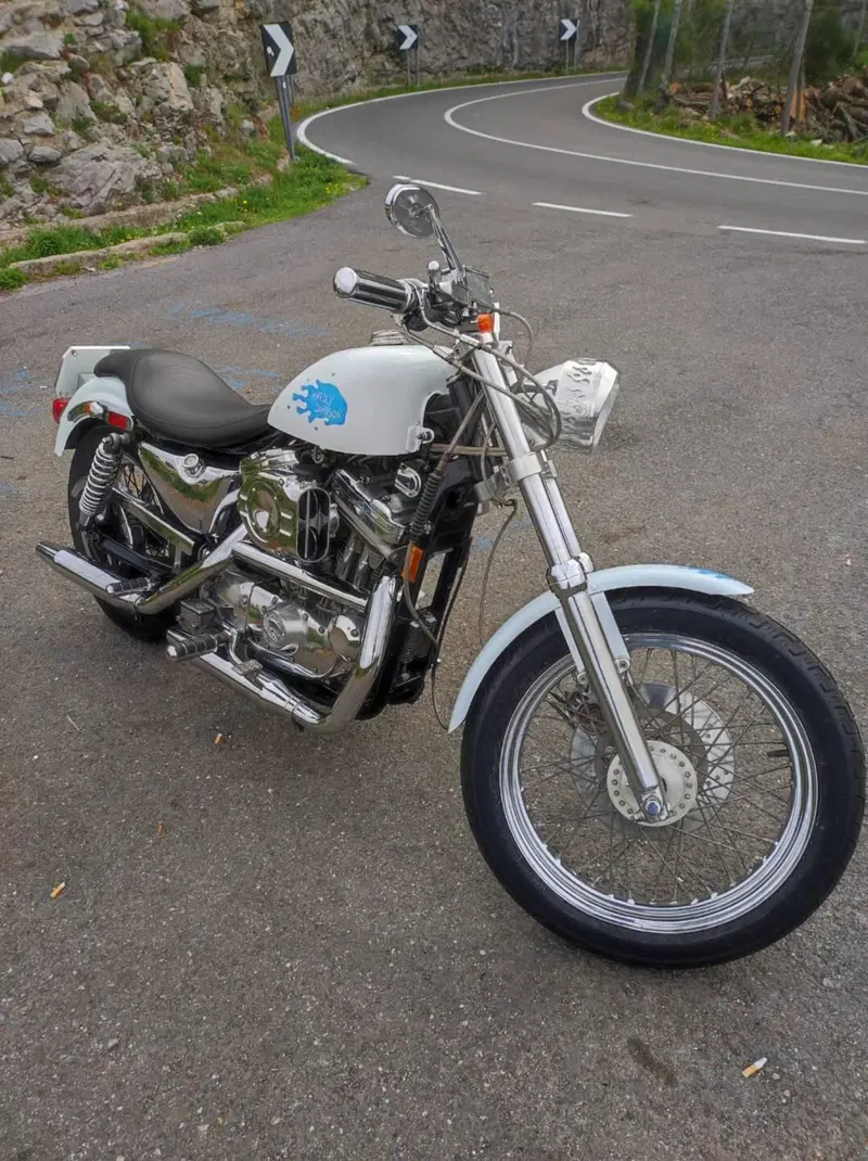 Harley-Davidson 883 Hugger (1992 - 93) - XLH (4)