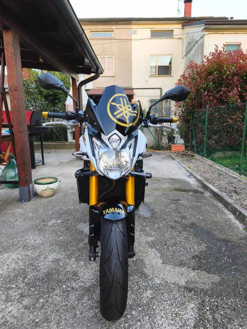 Yamaha FZ8 (2013 - 16) (3)