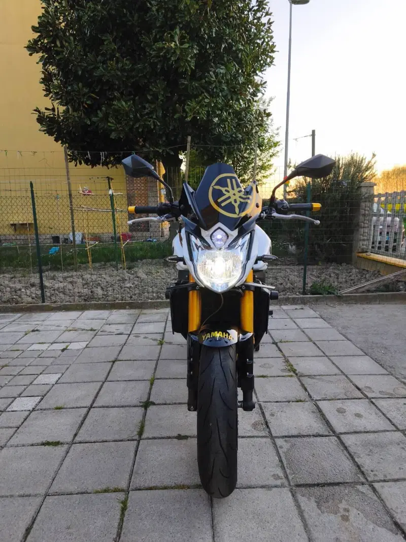 Yamaha FZ8 (2013 - 16) (6)