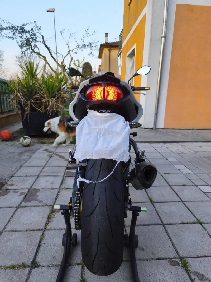 Yamaha FZ8 (2013 - 16) (7)