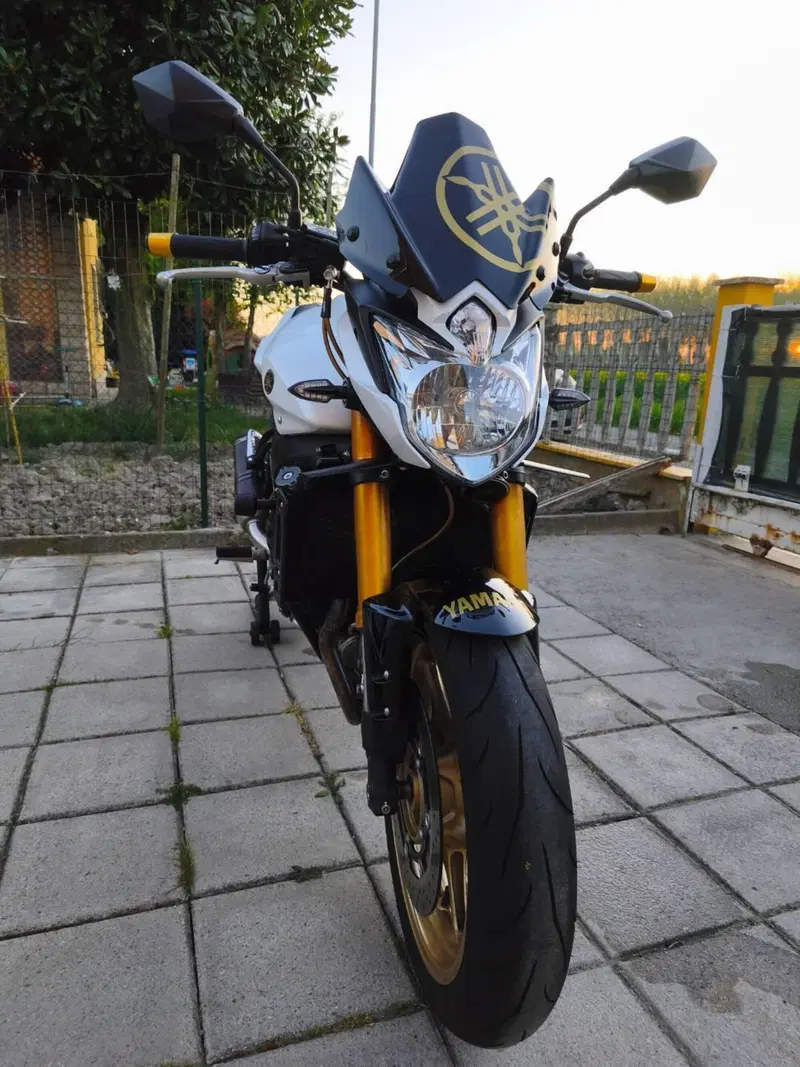 Yamaha FZ8 (2013 - 16) (9)