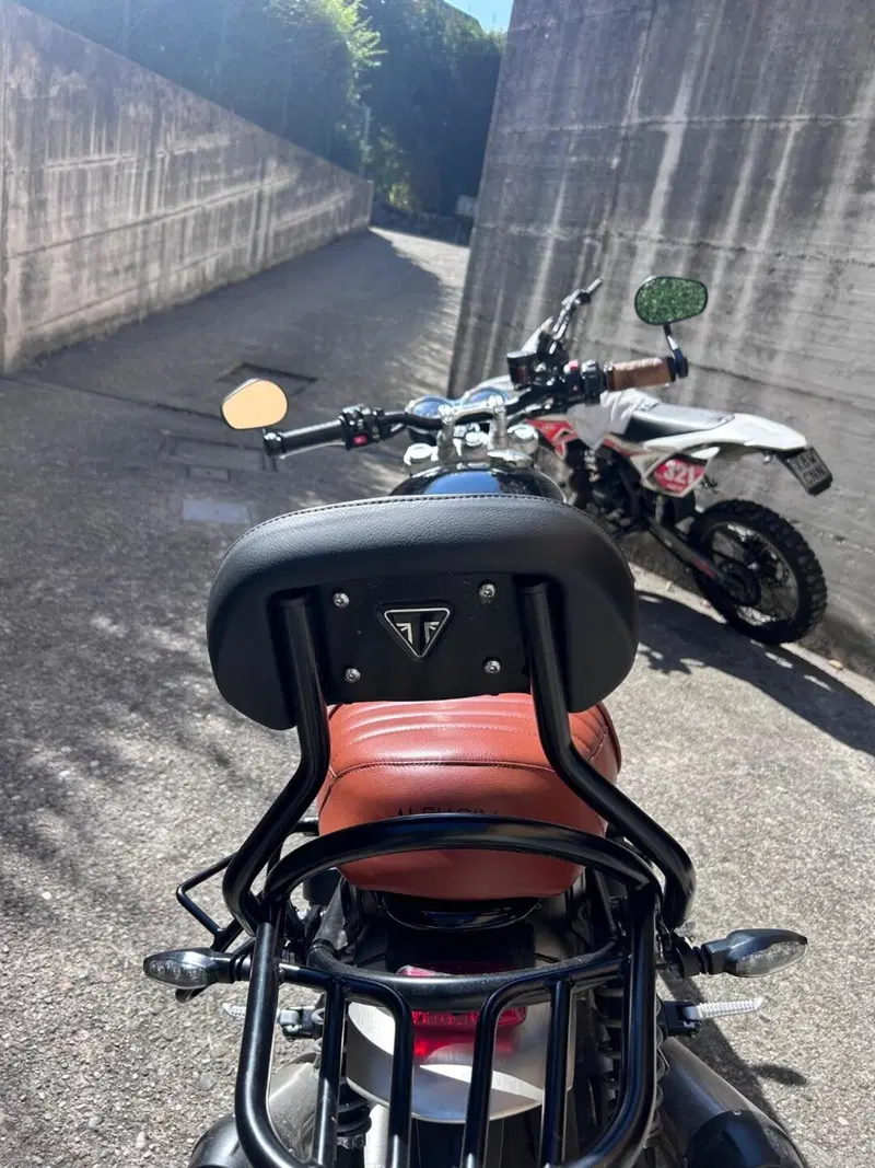Triumph Speed Twin 1200 (2021 - 24) (4)