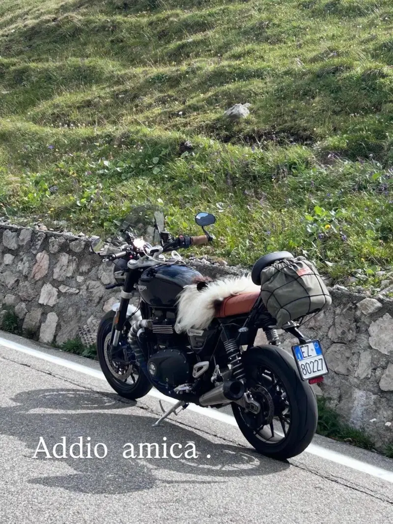Triumph Speed Twin 1200 (2021 - 24) (6)