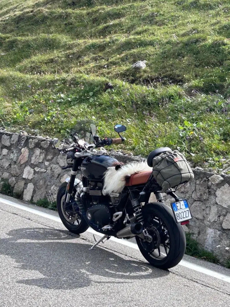 Triumph Speed Twin 1200 (2021 - 24) (11)