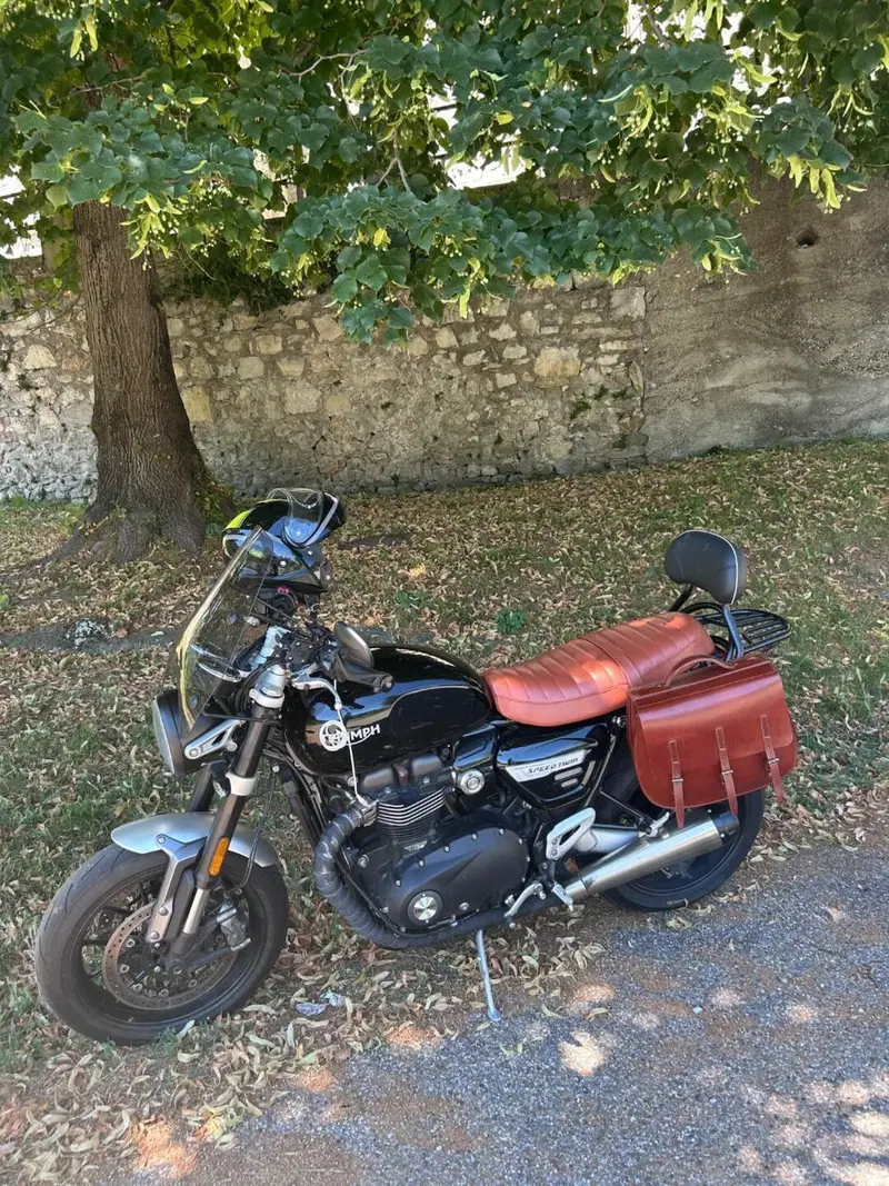 Triumph Speed Twin 1200 (2021 - 24) (14)