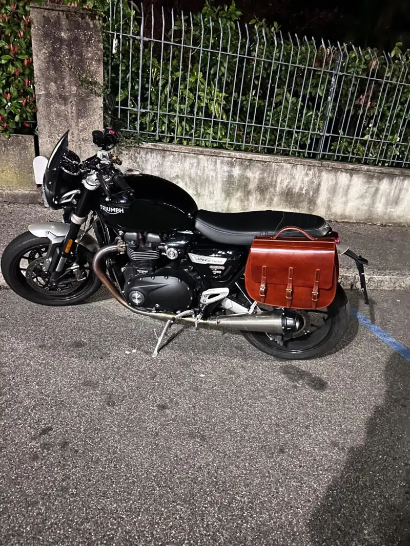 Triumph Speed Twin 1200 (2021 - 24) (18)