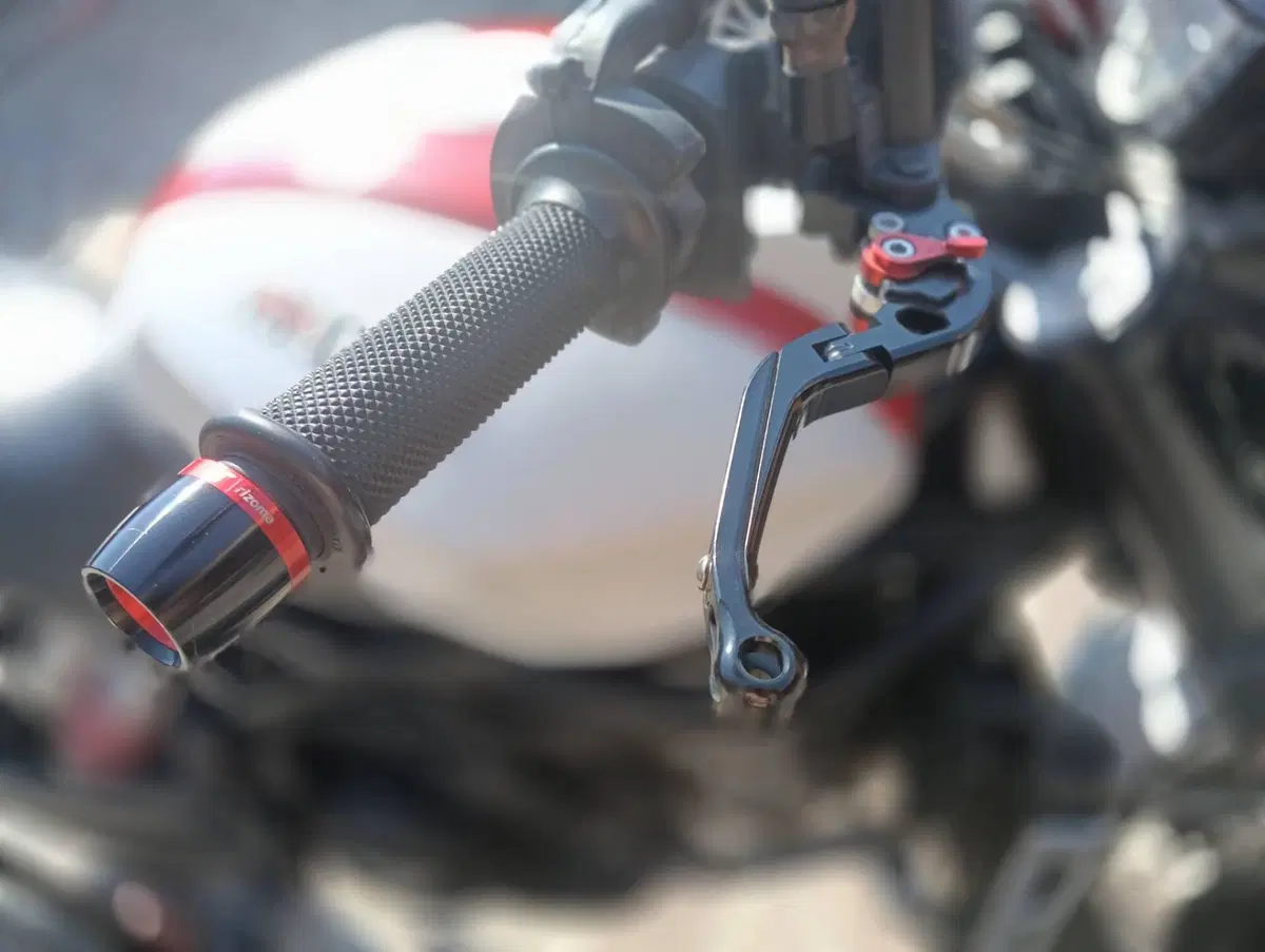 Moto Morini Scrambler 1200 (2009 - 17) (3)
