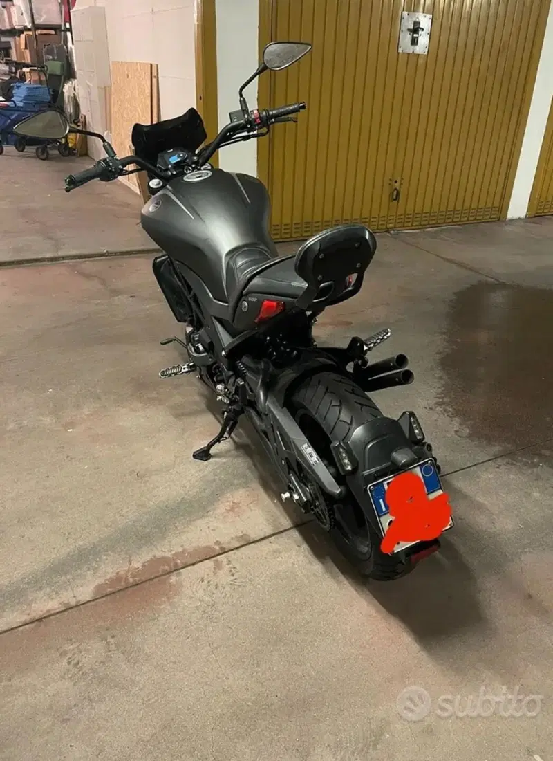 Benelli 502 C (2019 - 20) (3)