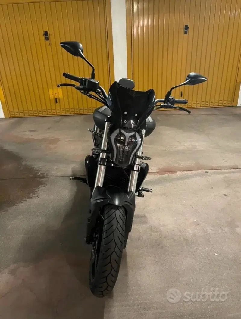 Benelli 502 C (2019 - 20) (4)