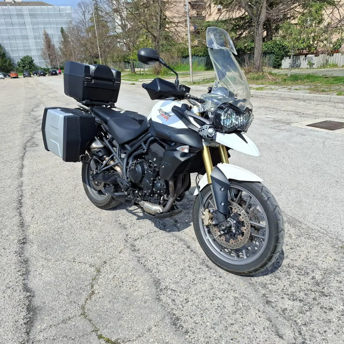 Triumph Tiger 800 ABS (2010 - 14) (5)