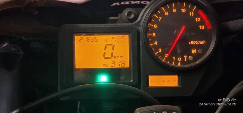 Honda CBR 900 RR Fireblade (2000 - 01) (8)