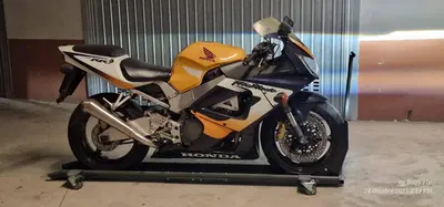 Honda CBR 900 RR Fireblade (2000 - 01) usata