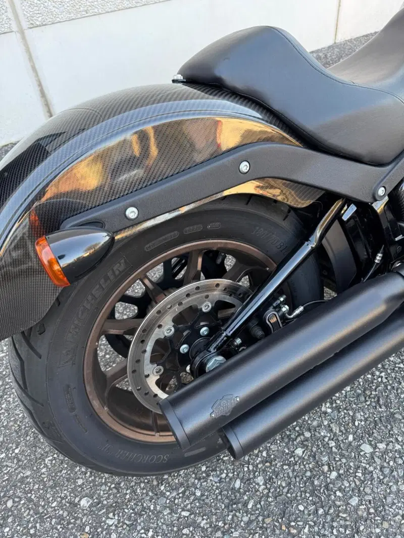 Harley-Davidson 114 Low Rider S (2020) - FXLRS (4)