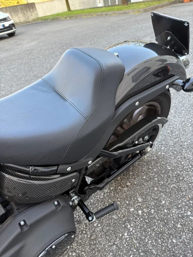 Harley-Davidson 114 Low Rider S (2020) - FXLRS (6)