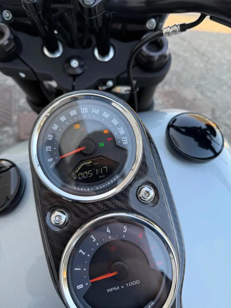 Harley-Davidson 114 Low Rider S (2020) - FXLRS (8)
