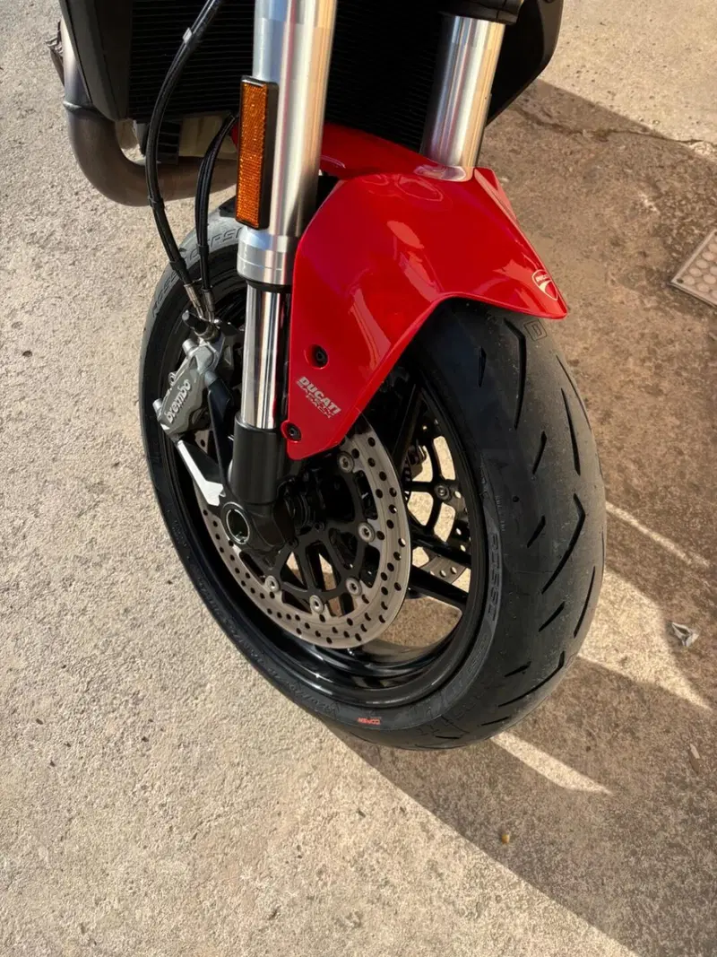 Ducati Monster 821 (2018 - 20) (8)