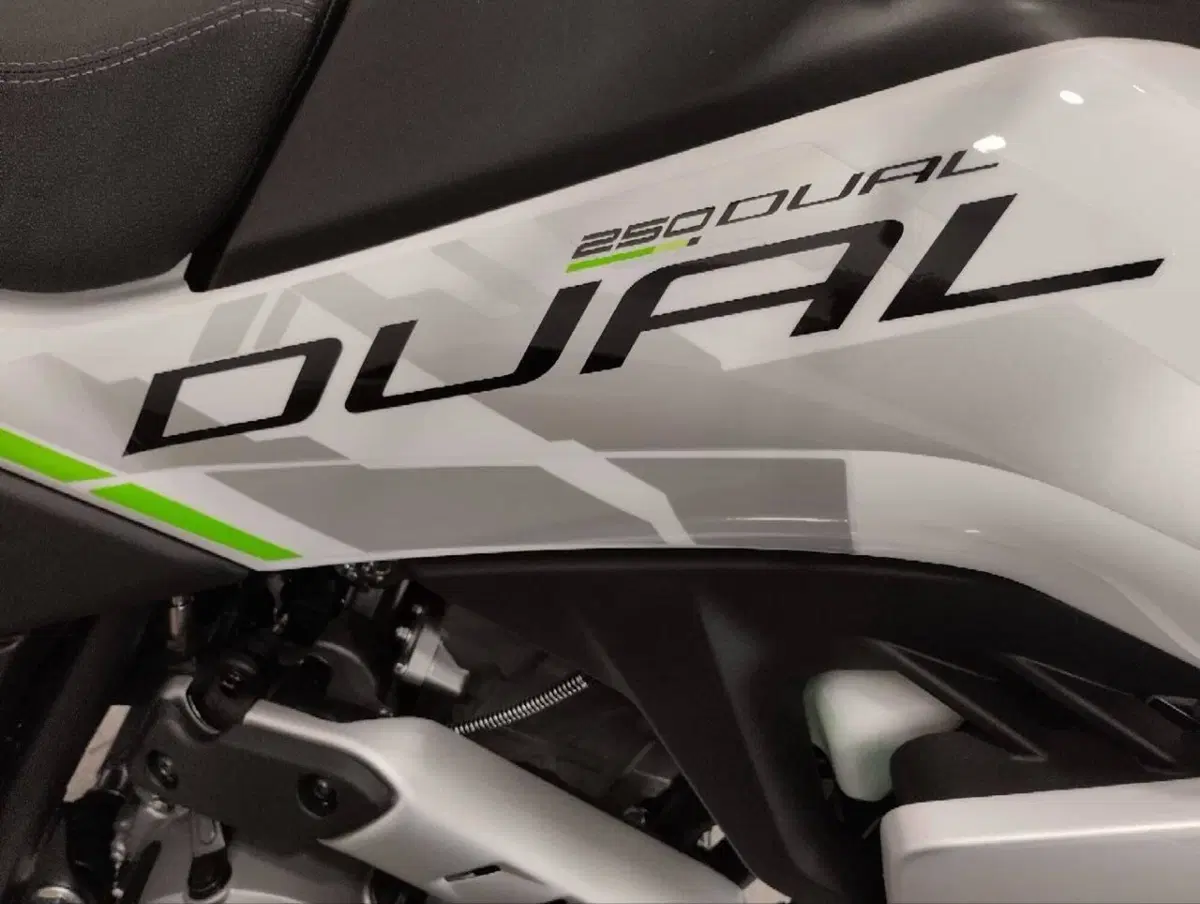 CFMOTO CFLite 250 Dual (2026) (5)