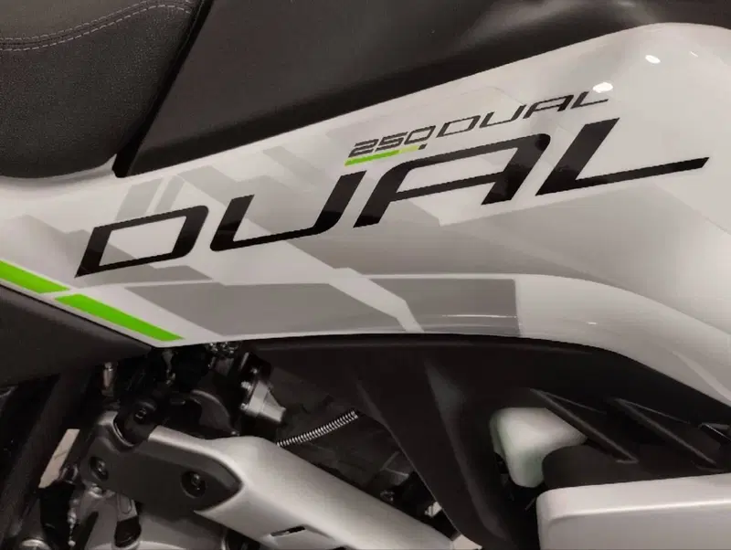 CFMOTO CFLite 250 Dual (2026) (5)