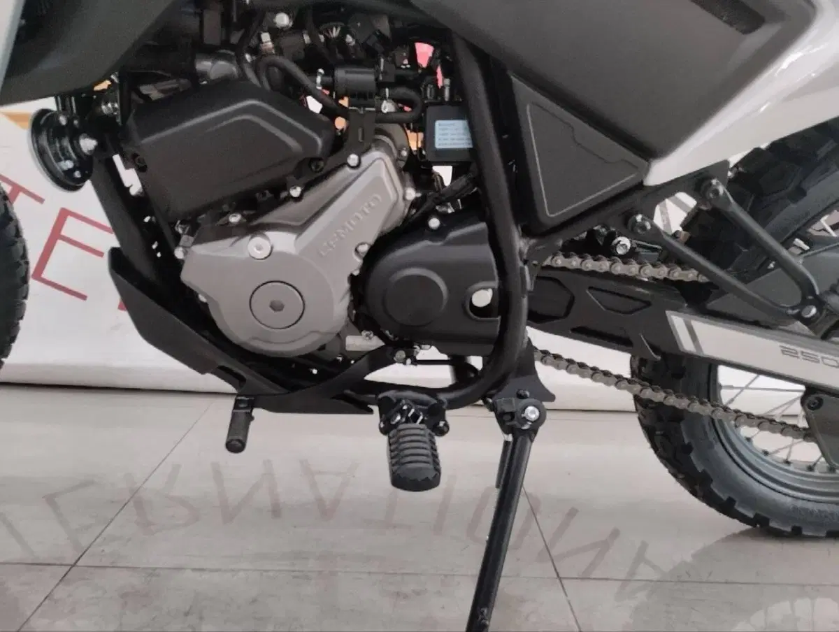 CFMOTO CFLite 250 Dual (2026) (8)