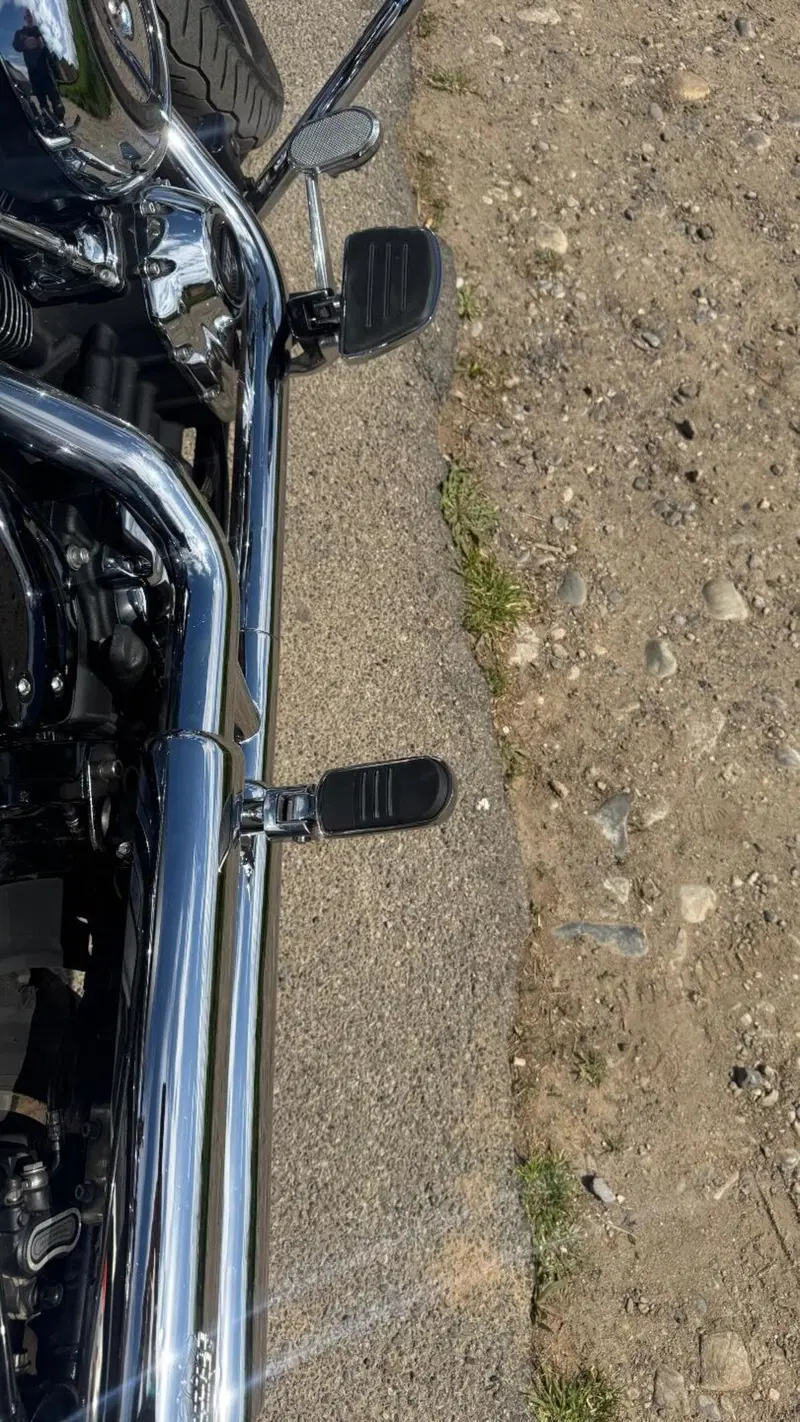 Harley-Davidson 107 Low Rider (2018 - 20) - FXLR (11)