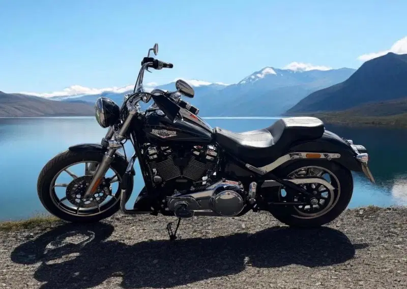 Harley-Davidson 107 Low Rider (2018 - 20) - FXLR (13)