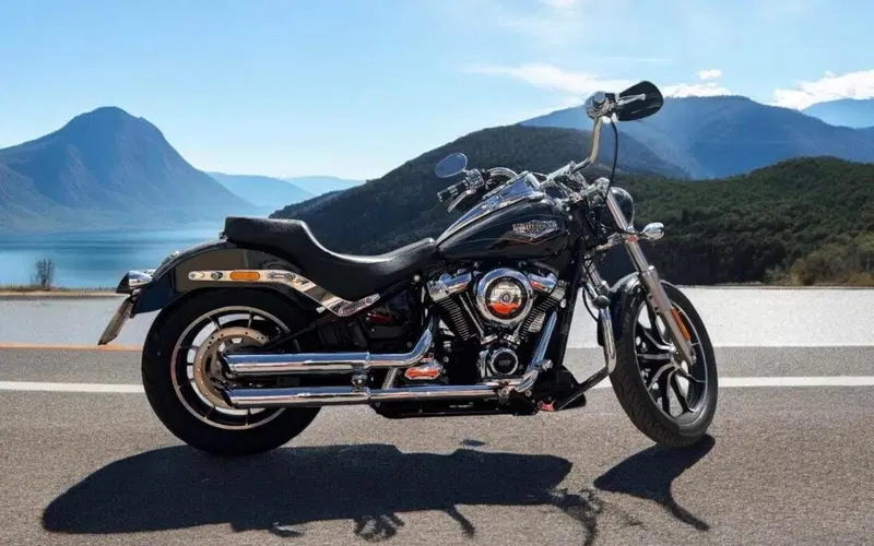 Harley-Davidson 107 Low Rider (2018 - 20) - FXLR (14)
